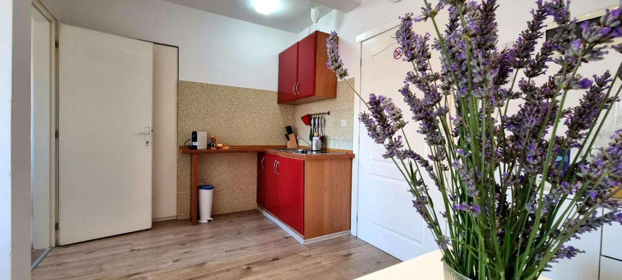Tiny Studio Big Living Rovinj Exterior foto
