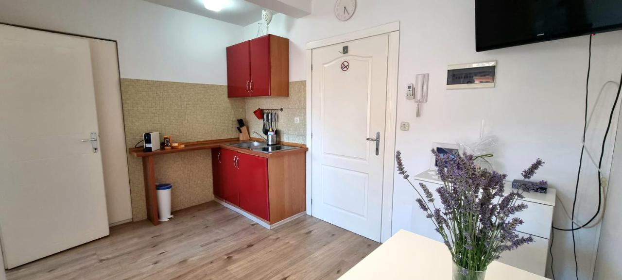 Tiny Studio Big Living Rovinj Exterior foto
