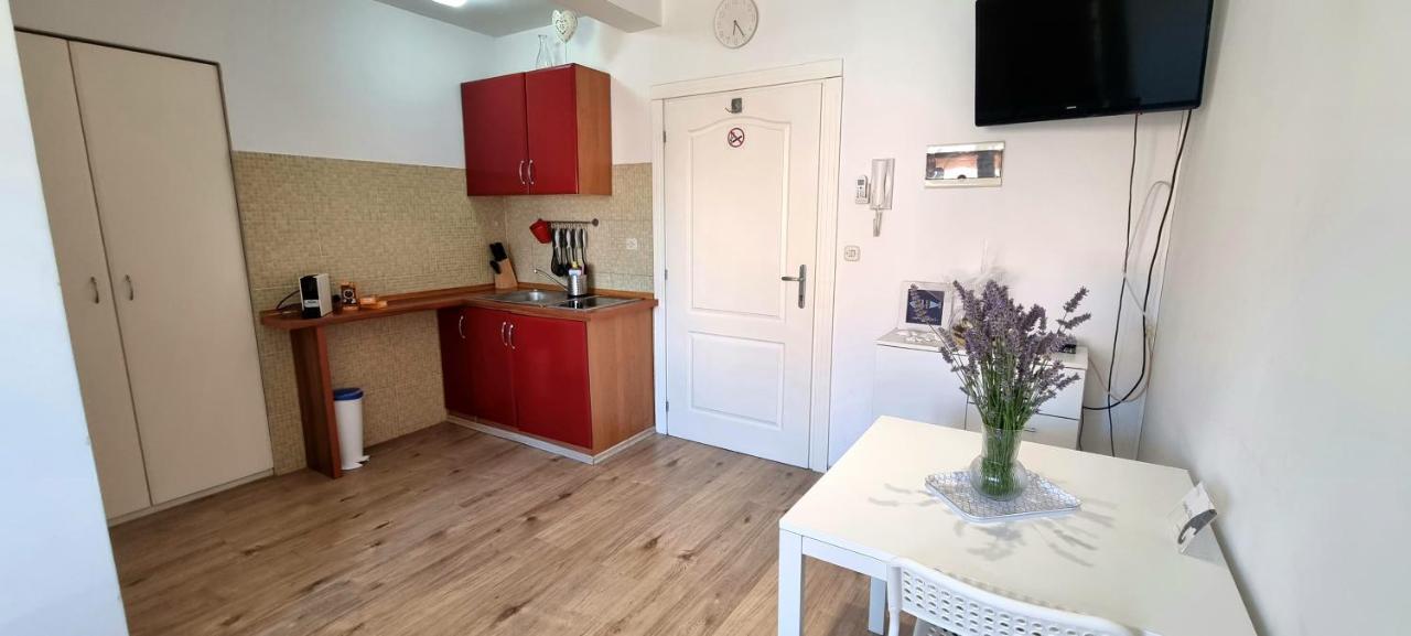 Tiny Studio Big Living Rovinj Exterior foto